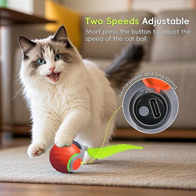 Speedy Tail Cat Toy 2.0, Interactive Cat Ball Toy for Bored Indoor Cats, Automatic Moving Pet Play Ball, Two Speed Adjustment with Replacement Tail