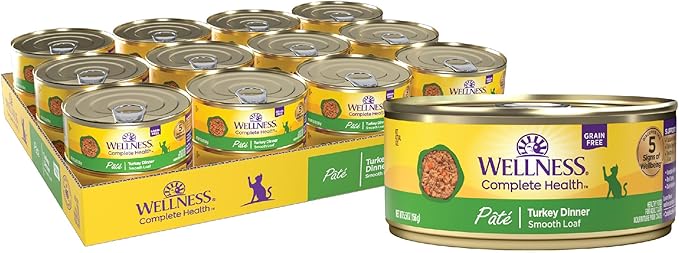 Wellness Complete Health Pate Adult Wet Cat Food, Natural, Protein-Rich, Grain Free, 5.5 Ounce, 24 Pack, (Turkey)