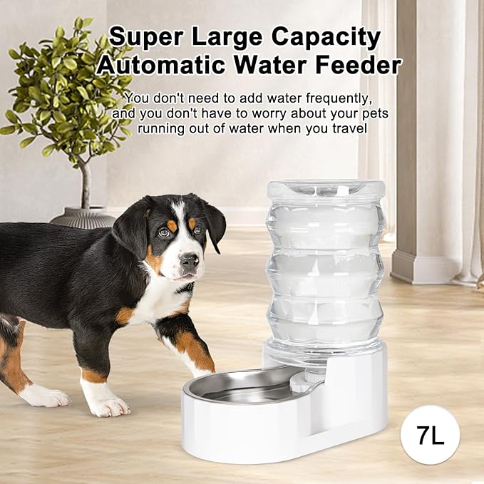 RIZZARI Automatic Gravity Pet Waterer: 7L White Stainless Steel Water Dispenser - 100% BPA-Free - Large Capacity Water Feeder for Cats and Small and Medium-Sized Dogs