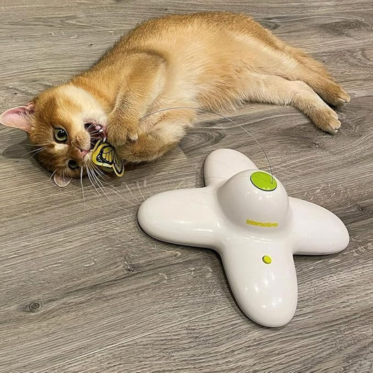 ALL FOR PAWS Cat Toys Interactive Butterfly Flutter Bug Cat Automatic Toy Stimulating Kitty Toys Enrichment for Indoor Cats