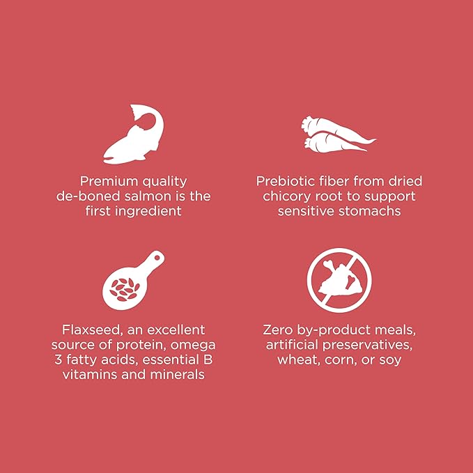 Go! Solutions Sensitivities Limited Ingredient, Grain-Free Dry Cat Food, Salmon Recipe for Sensitive Stomach, 3 lb Bag