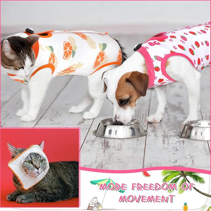 Nuanchu 3 Pieces Cat Recovery Suit Kitten Recovery Suit E-Collar Alternative for Cats and Dogs Abdominal Skin Anti Licking Pajama Clothes Sets(Fruit Pattern,Large)