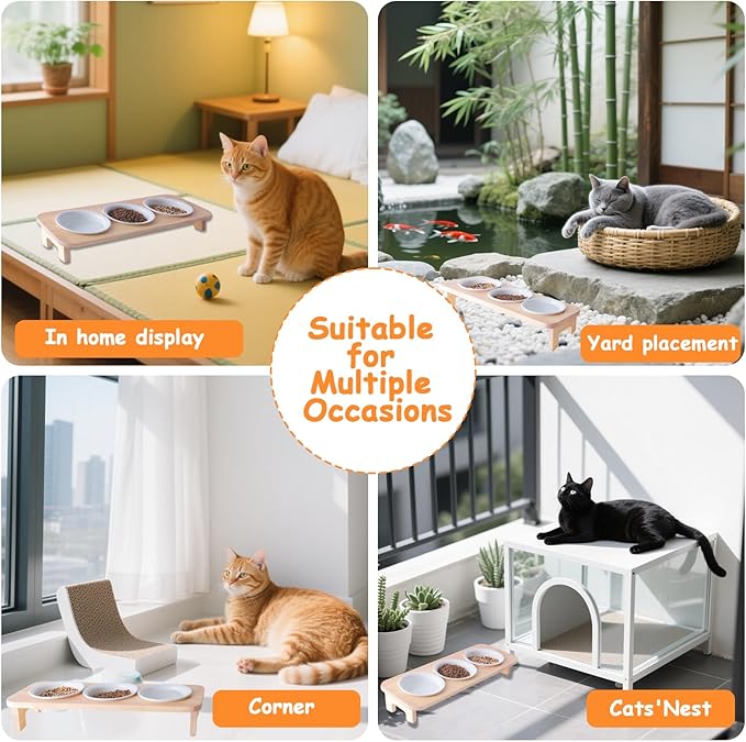 3 Elevated Cat Food and Water Bowl Set with Stand,15°Tilted Raised Pet Bowlfor Kittens/Puppy with 3 Ceremic Dishes, Indoor Cat Food Bowl，Anti-Vomit & Whisker Fatigue Relief, Dishwasher Safe