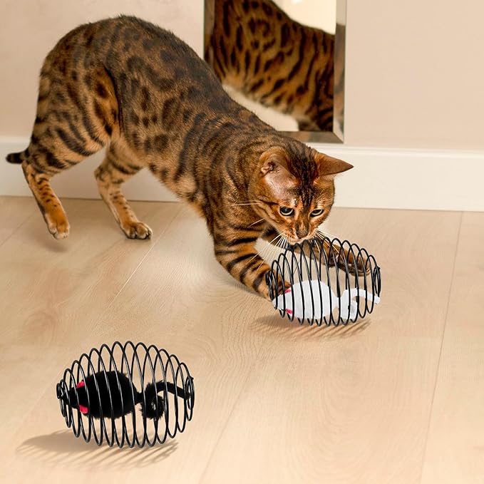Jecery 5 Pcs Cat Spring Balls Stretchable Springs Toys Rolling Balls Colorful Playful Coils Interactive Spring Action Toy Caged Rats for Kitten Cat Pet Supplies Indoor (Mouse,Black)