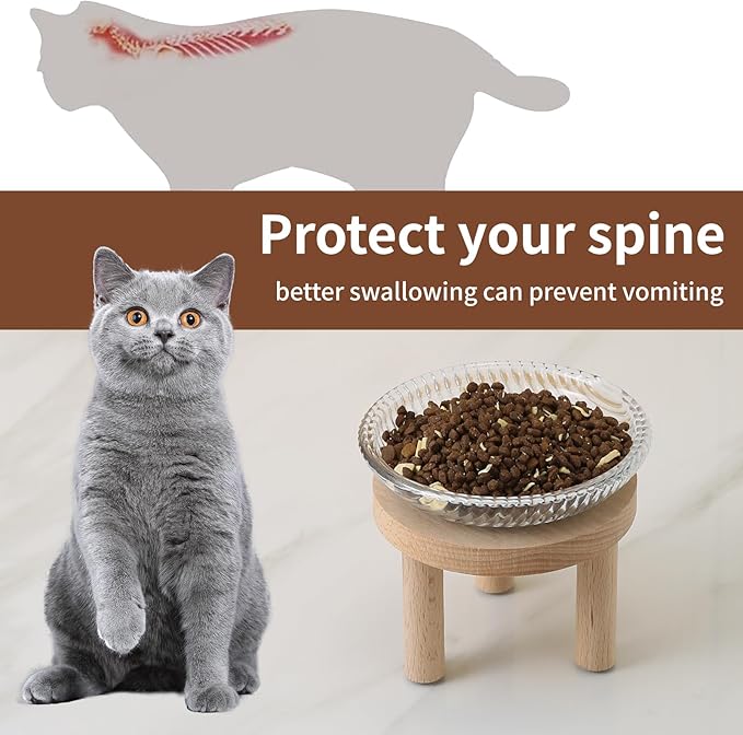 Raised Whisker Fatigue Cat Bowl. Glass Cat Bowls Elevated with Wooden Legs in 2 Heights. Protect The Spine and Prevent Vomiting. 2PCS. KGCCIZI