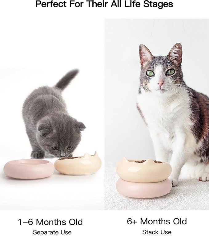 Cat Bowl, Ceramic Cat Bowls Food and Water Bowl Set, Whisker Friendly Cute Kitten Food Bowls for Protecting Pet's Spine, Yellow & Pink