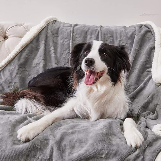 Qeils Waterproof Blanket for Bed Intimacy, Dog Blankets for Large Dogs, Waterproof Cat Blanket Washable, Soft Sherpa Fleece Puppy Blanket, Reversible Throw Protector for Couch Car, 50"X60", Grey