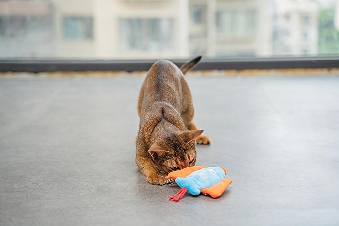 Interactive Catnip Cat Plush Toy, Space Travel Theme, 5‘’, for All Breed Size Cats (Spacecraft)