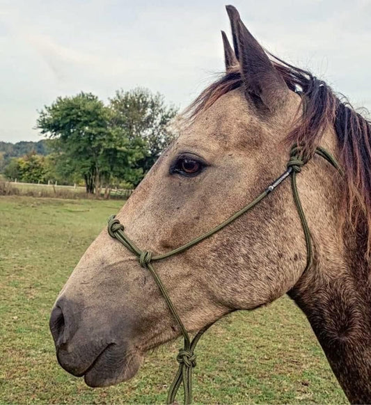 Horse Rope Training Halter - 4 Knot 1/4" Stiff Halter Cord - Used by Famous Trainers Multiple Sizes Multiple Colors