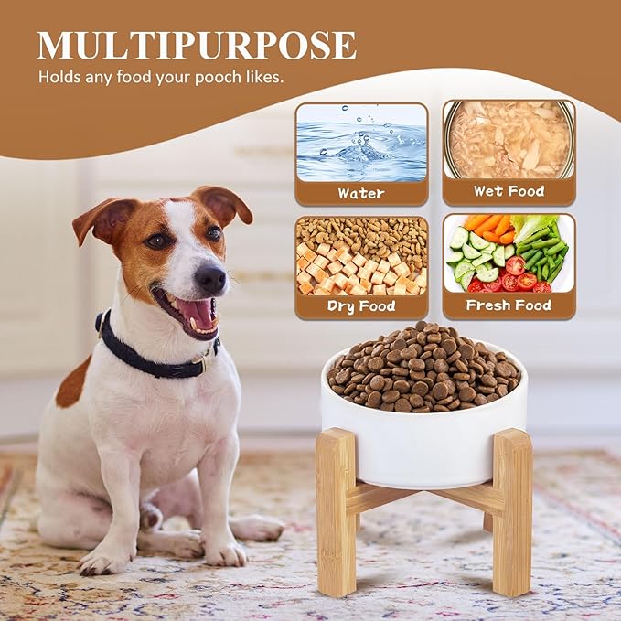 Ceramic Elevated Raised Cat Bowl with Wood Stand No Spill Pet Food Water Feeder Cats Small Dogs