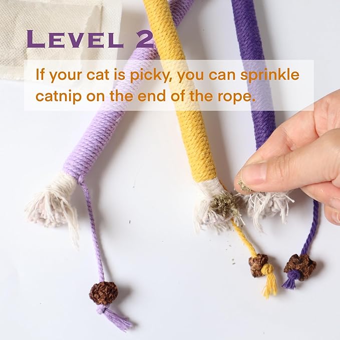 Cat Toys for Indoor Cats, Kitten Toys for Indoor Kittens, Catnip Rope Chew Toys for Teeth Cleaning, Interactive Cat Teething Toy, Kitty Kicker Toy, 3 Pack (Plus 1 Pouch of Catnip)