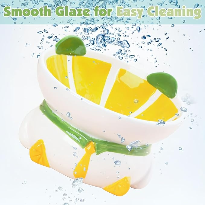 Kathson Ceramic Elevated Cat Bowl, 15 Tilted with Stand - Lemon Shaped, Anti Vomiting, Small Cat Bowl