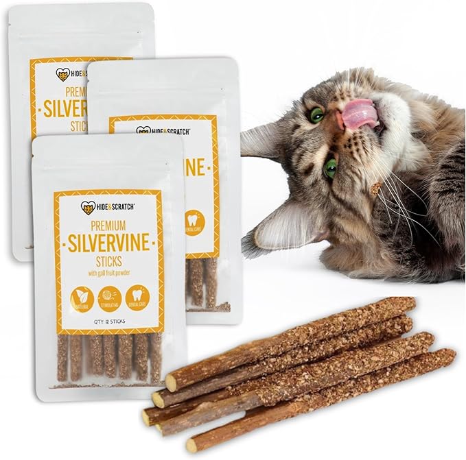 Hide & Scratch Premium Silvervine Sticks for Cats with Gall Fruit Powder for Extra Potency; Cat Enrichment Cat Chew Toy and Dental Sticks - More Effective Than Catnip Toys! (3 Packs of 12)