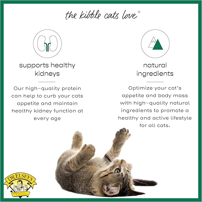 Dr. Elsey's cleanprotein Dry Kibble Duck 6.6 lb Bag