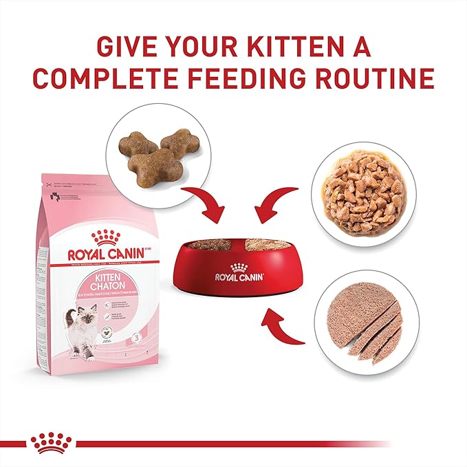 Royal Canin Feline Health Nutrition Kitten Wet Food Variety Pack, 12 Pack, 2 Varieties, 3 oz Cans