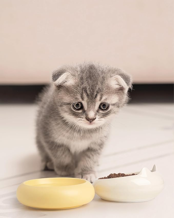 Cat Bowl, Ceramic Cat Bowls Food and Water Bowl Set, Whisker Friendly Cute Kitten Food Bowls for Protecting Pet's Spine, Beige & Yellow