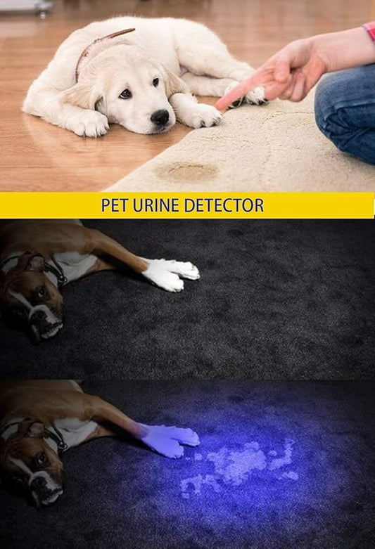 DARKBEAM UV 395nm Flashlight Ultraviolet led Light Blacklight Wood's lamp Portable 400nm Mini Detector for Dog/Cat Urine Pet Stains, Anti-counterfeiting Identification, Resin Curing，2 Pack