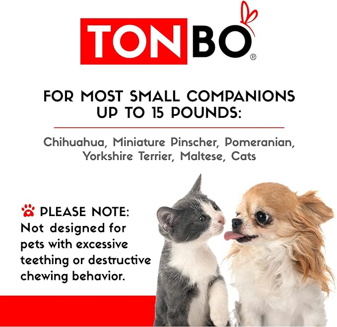 TONBO Soft Plush Small Cute and Cozy Nature Dog Cat Bed, Washer and Dryer Friendly (Rainbow Flower)