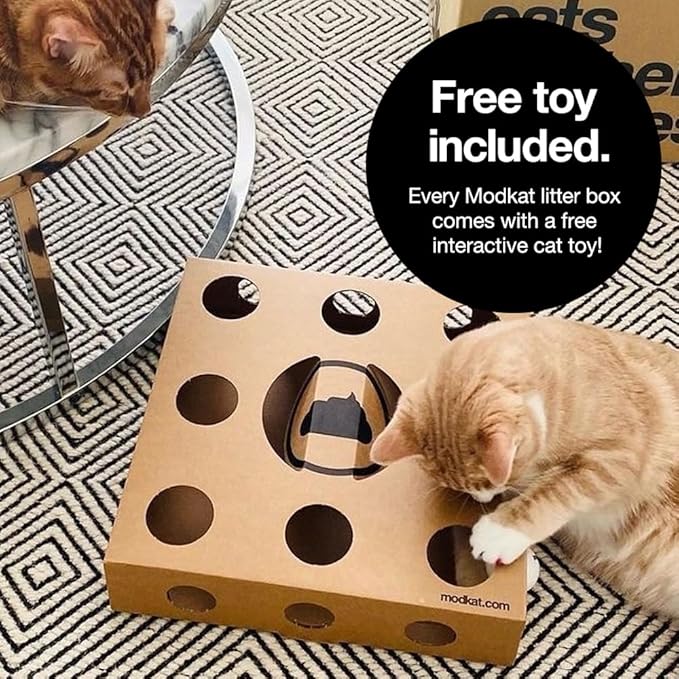 Modkat® XL Litter Box, Top or Front-Entry Configurable, Full Height Seamless Base, Reusable Litter Liners, Sifting Litter Scoop, 2X Bamboo Charcoal Filters - Black