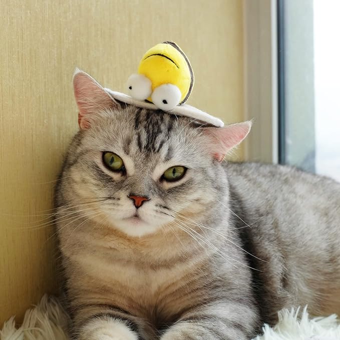 Gigwi Interactive Squeaking Cat Toy，Chirpy Bee Sound Toy for Cats，Melody Chaser Play Squeak Kitten Toys for Boredom