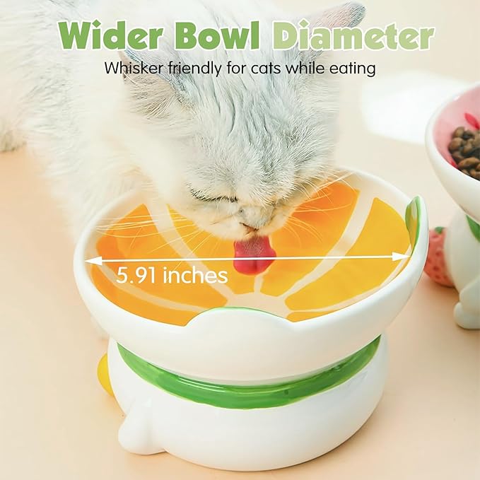 Kathson Ceramic Elevated Cat Bowl, 15 Tilted with Stand - Lemon Shaped, Anti Vomiting, Small Cat Bowl