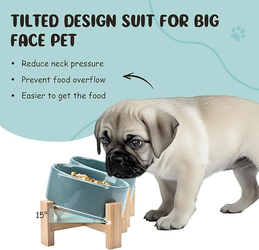 SPUNKYJUNKY 15° Slanted Ceramic Dog and Cat Bowl with Wooden Stand, Tilted Bulldog Food and Water Bowl No Slip Non-Spill for Cats Medium Dogs Big Face Pets 13.5 OZ (1.7 Cups, Light Green × 2)