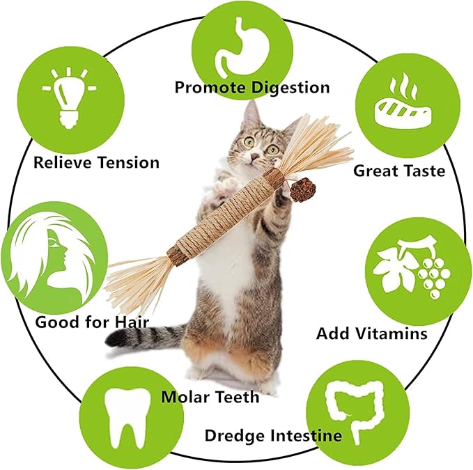 Cat Toys 21Pack Silvervine Chew Stick Kitten Treat Catnip Toy Kitty Natural Stuff Catnip for Cleaning Teeth Indoor Dental Snack Interactive