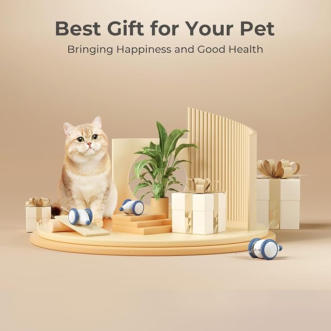 Cheerble Interactive Cat Toys for Indoor Cats, Automatic Cat Toy with LED Lights, Wicked Mouse Toys, Kitten Toys, Pet Toys, Smart Electric Cat Toy, USB Rechargeable, Auto On/Off… (Blue)