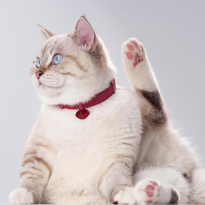 Safety Cat Collar Pro and Tag Set - U.S. IDA Gold Award, Elastic Release Cat Collar Charm Tag, Non Breakaway Cat Collar Adjustable with Charm for Kitten Small Large Cats (Blush Pink, S)