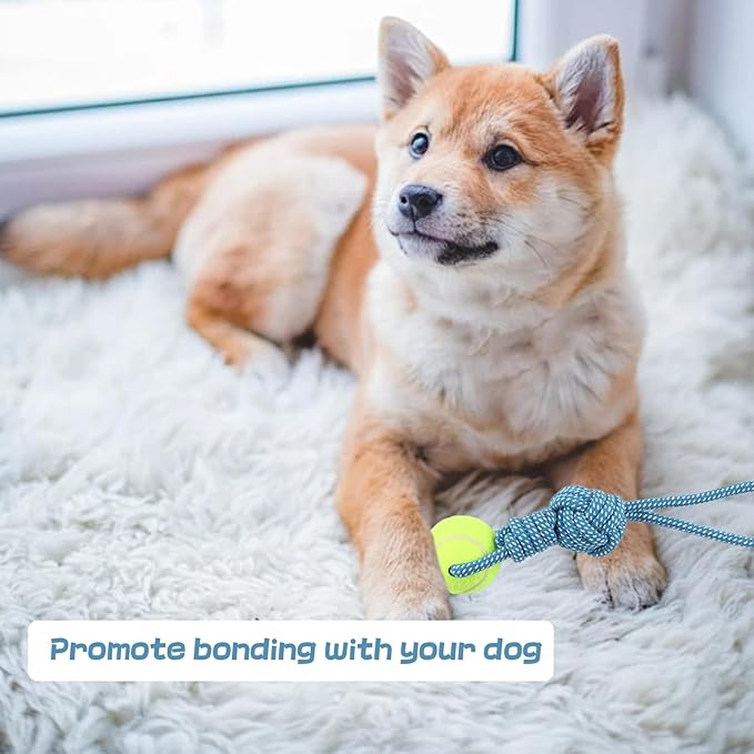 Dog Rope Toy for Medium and Small Dogs Interactive Puppy Toys Tug of War Rope Tether Tug Outdoor Dog Toy 1 Knot Puppy Teething Chew Cotton with Tennis Ball