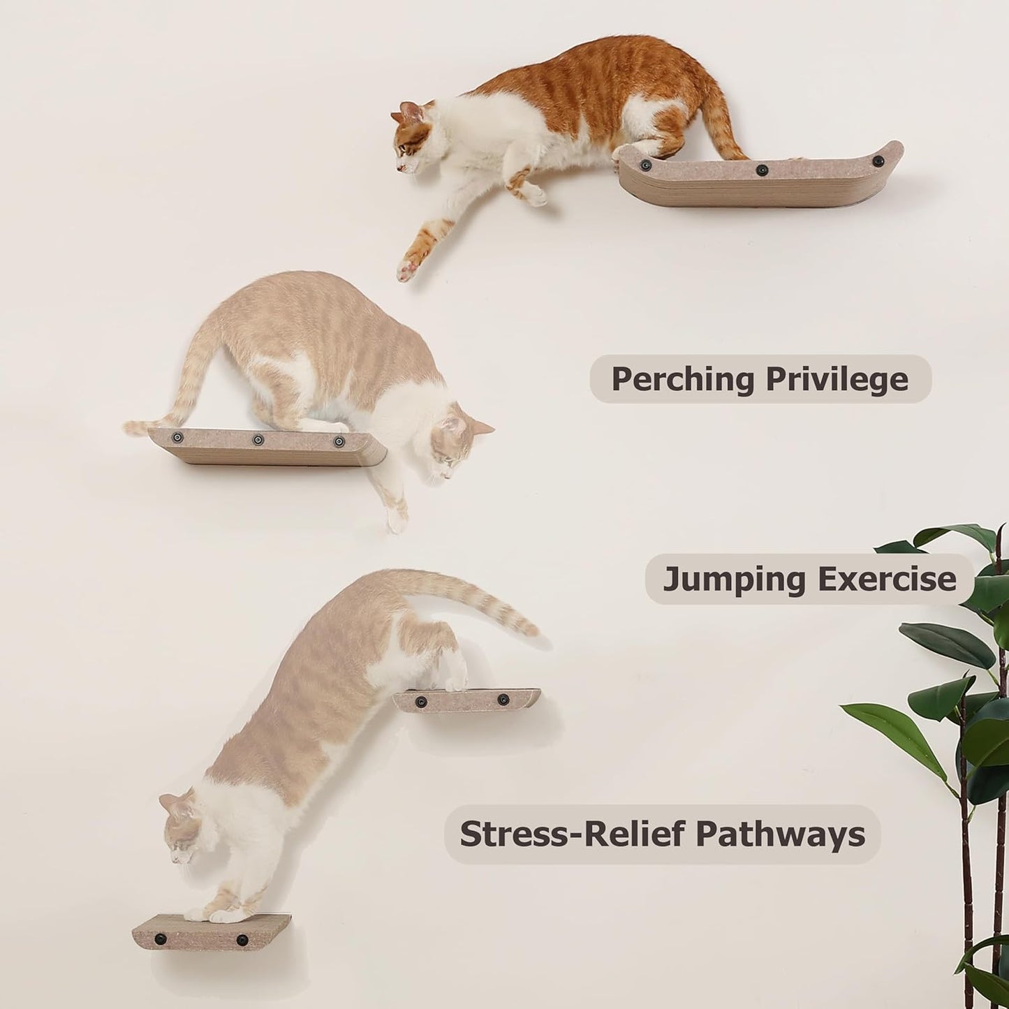 Wall Mounted Cat Shelves and Perches,Scratchable Cat Beds & Furniture for Indoor Cats, Soft PET Felt Feline Climbing Wall Set, Modern Jungle Gym System for Lounging and Sleeping(Set of 4-Oatmeal)
