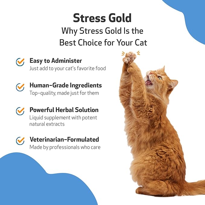 Pet Wellbeing Stress Gold for Cats - Occasional High Stress and Restlessness, Supports Relaxation, Travel, Vet Trips, Skullcap, Valerian - Veterinarian-Formulated Herbal Supplement 2 oz (59 ml)