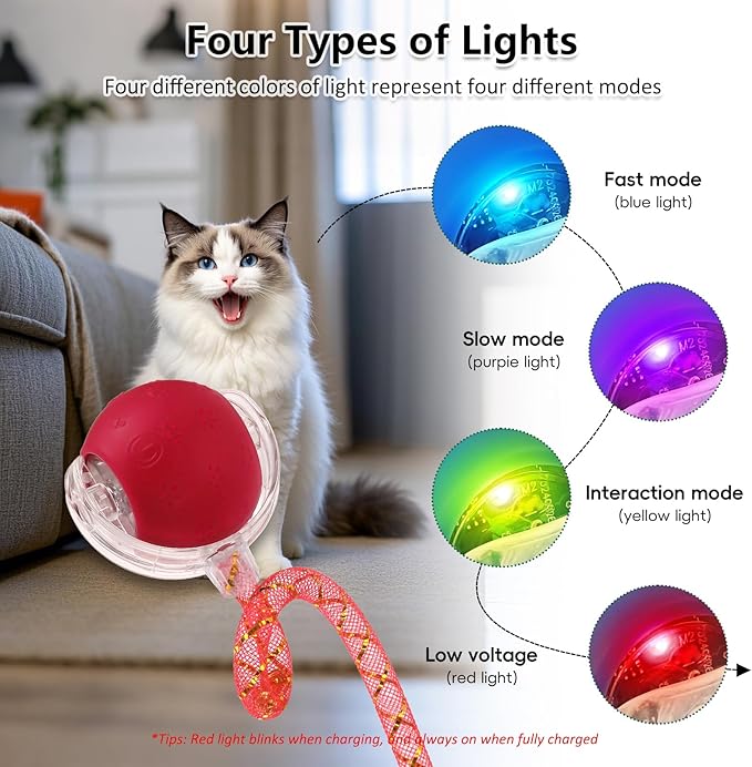 Upgraded Interactive Cat Toy, cat Toys for Indoor Cats, Automatic Kitten Ball with Mesh Elastic Tail, Moving Cat Toy for Bored Indoor Adult Cats, Motion Activated