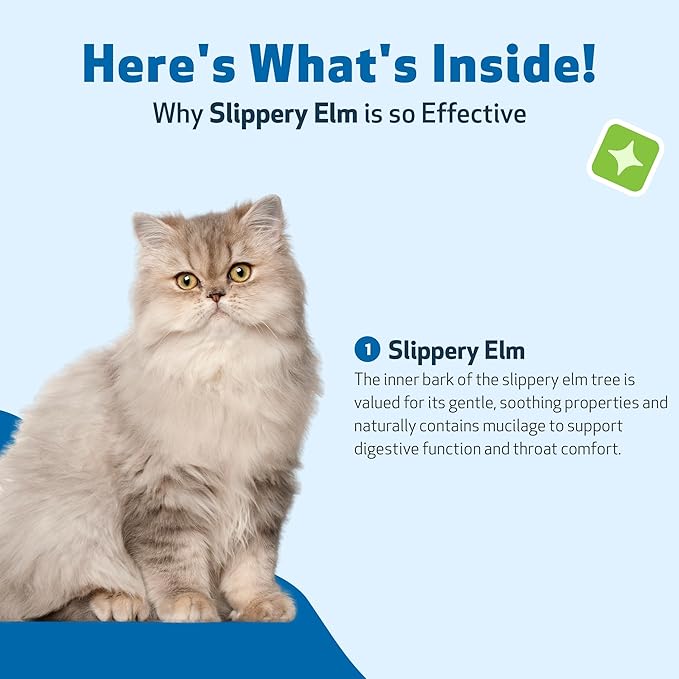 Pet Wellbeing Slippery Elm for Cats - Organic Herb, Supports Healthy Digestive Tract, Gut Lining, Throat Comfort, Lower Urinary Tract Health - Veterinarian-Formulated Herbal Supplement 2 oz (59 ml)