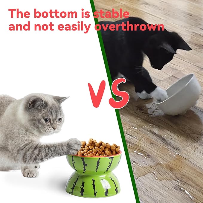 Hamiledyi Ceramic Raised Cat Bowl 5In Elevated Wide Cat Bowl for Food and Water Anti Vomiting Tilted Pet Feeder Dish for Indoor Cats and Small Dogs(Watermelon)