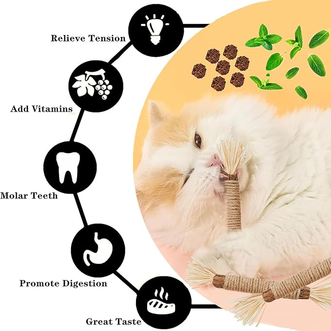 Cat Toys,6PCS Kitten Toys for Indoor Cats Catnip Toy for Chewing Silvervine Stick for Cleaning Teeth Kitty Dental Treat Interactive Toy Kitty Snack Self Play Wand Cat Mint Lick