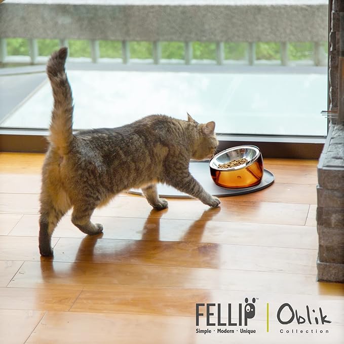 Felli Pet Oblik Anti Whisker Fatigue & Regurgitation Raised Cat Food Water Bowl, Tilted Stainless Steel Shallow Dish Dishwasher Easy Clean, Elevated Dry Wet Metal Feeder Slanted Plate (0.5Cups, Gold)