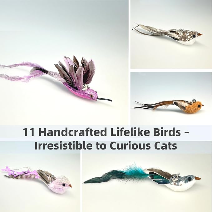 11PCS Realistic Bird Cat Toy Refills – Handmade Feather Cat Toys with Bell, Clip-on Cat Wand Attachments – Interactive Cat Toys for Indoor Cats, Refill Set for Wand Toy or Cute Home Décor