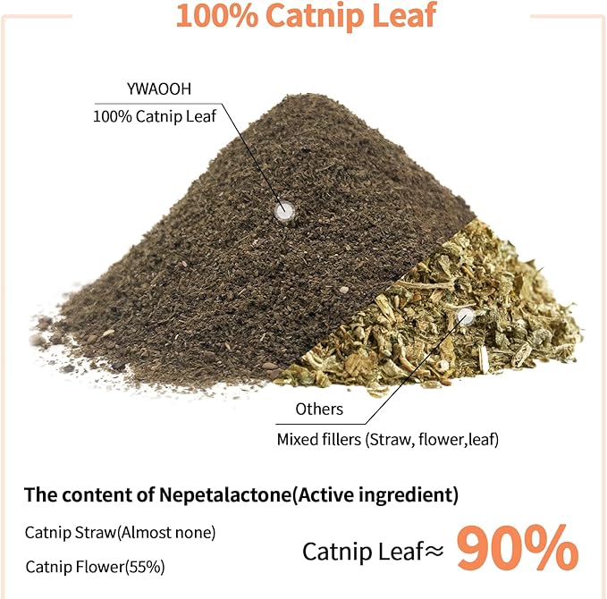 Premium Catnip for Cats & Kittens – Cold-Processed, High Potency Nepetalactone, 100% Pure Leaf-Only Catnip for Toys, Scratchers, Refills, Stimulates Play & Protects Furniture - 10g