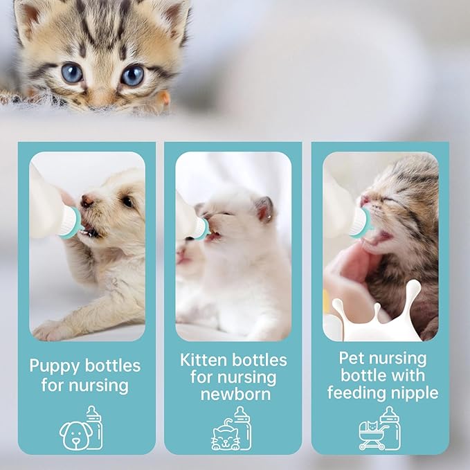 5Pack Kitten Bottle for Nursing Puppy Milk Kitten Bottles Feeding Kit Silicone Nipple for Newborn Pets Kittens, Puppy,Squirrel (Green)