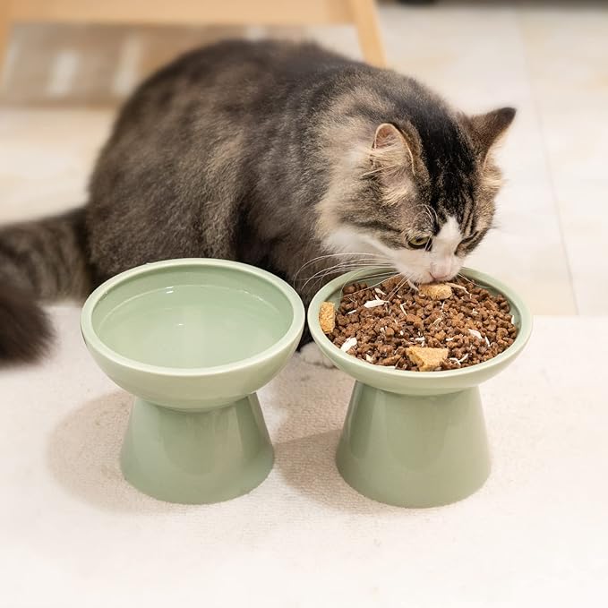 Extra Wide Elevated Ceramic Cat Water Bowl - 6.2" Deeper Dish for Whisker Fatigue Relief, 5" Height for Easy Feeding, Lead & Cadmium Free, Durable Raised Cat Bowls, Green