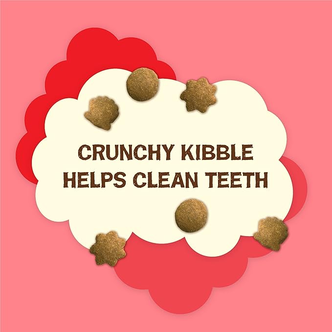 Purina Friskies Party Mix Cat Treats (Natural YUMS Salmon, 2.1 Ounce (Pack of 6))