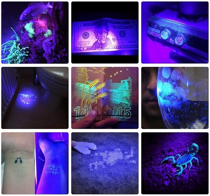 ALONEFIRE X901UV 365nm UV Flashlight 10W Blacklight USB C Rechargeable Ultraviolet Black Light for Pet Urine Detector, Scorpion, Resin, Bed Bug, Fishing, Rocks with UV Protective Glasses, Battery