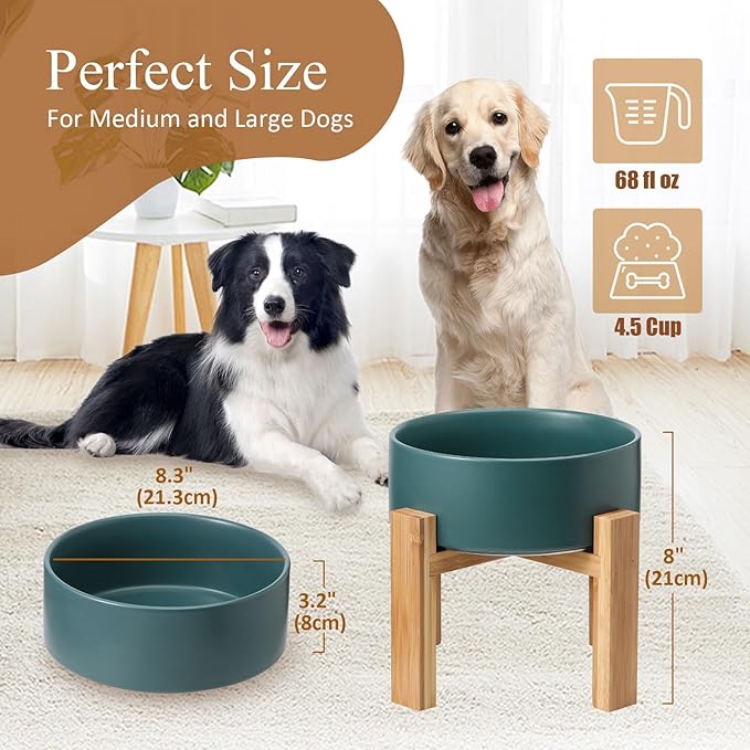 Elevated Ceramic Large Dog Bowl - Raised Dog Dish with Bamboo Stand - Heavy Weighted, No Tip Over, Comfortable Eating - 8.4" Diameter - 4.5 Cups - 68 fl oz - Green