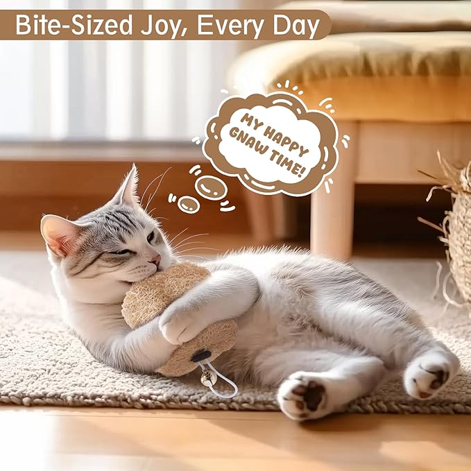 Natural Loofah Replacement Cat Toy Wand Refills, Cat Chew Toy-Handmade Gum Massage Teether w/Catnip,Teeth Cleaning Toys for Aggressive Chewers,Safe Kitten Bite Relief & Stress Relief, 2 Pack