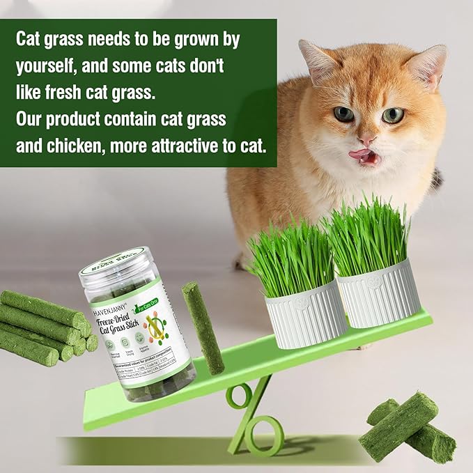 HavenJanny 50g/1.76oz Cat Grass Teething Stick, Cat Grass Stick Canned for Indoor Cats, Cats Treats Hairball Relief and Teeth Cleaning