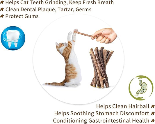 [ 35pcs Silvervine Sticks for Cats, Matatabi Cat Chew Sticks, Catnip Toys, Wooden Dental Sticks for Indoor Cats, Kitty, Kitten Teething Interactive Wand Toys