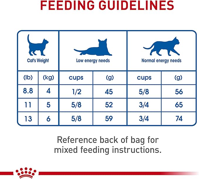 Royal Canin Feline Health Nutrition Dry Indoor Cat Food, Supports Healthy Weight, Digestive Health and Hairball Management, 3 lb Bag