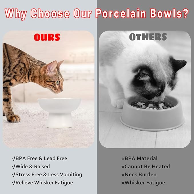 6.1" Wide 1.57" Deep Elevated Cat Water Bowls, Ceramic Raised Food Plate,Cat Feeder,Anti Vomiting Whisker Fatigue,White