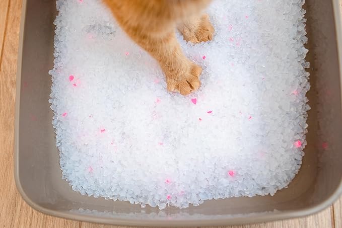 Crystals Premium Cat Litter Non-Clumping - Maximum Odor Control, 99.9% Dust Free, Soft on Paws, Unscented 16 lb (2 x 8 lb Packs)